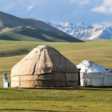 mongolia-circle